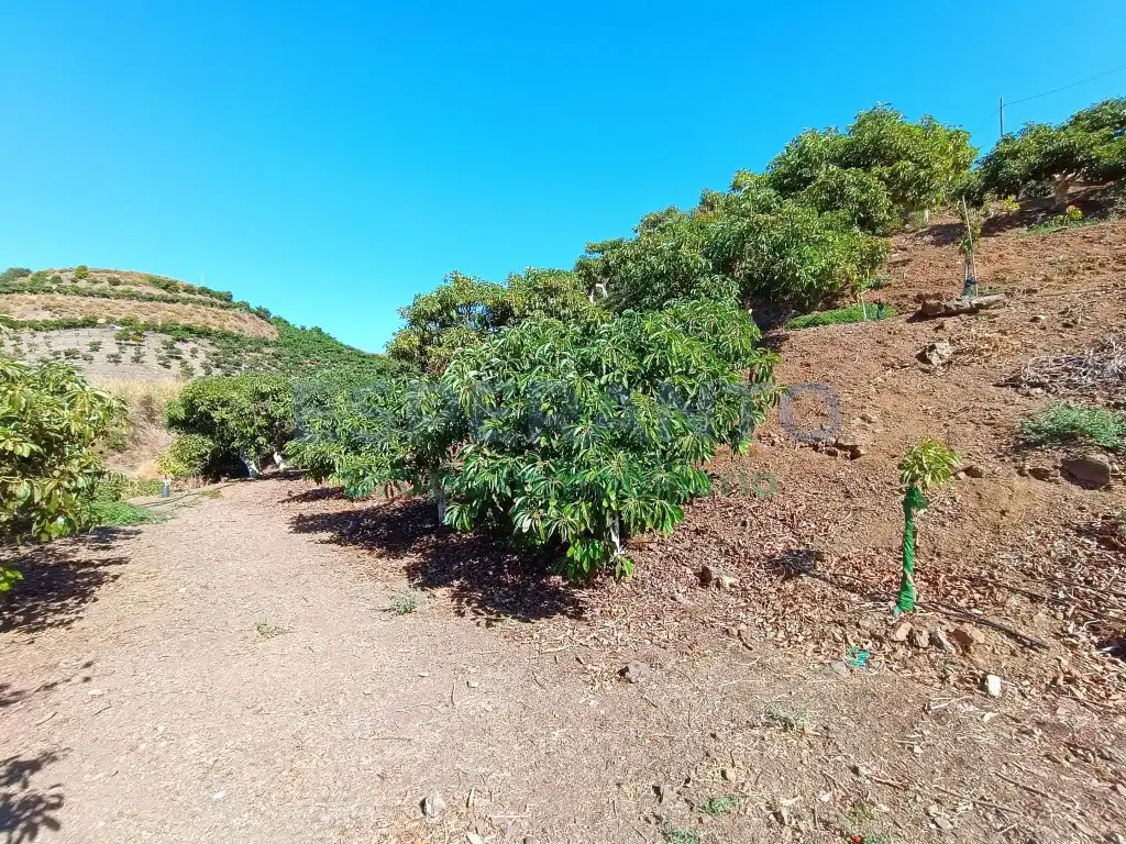 Finca rústica en venda en Vélez-Málaga amb Aire condicionat, Jardí privat i Traster