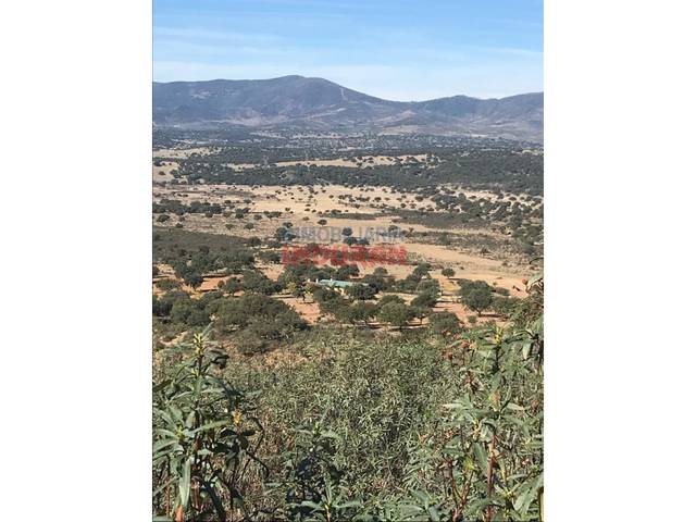 Casa-chalet en Venta en Cabañas del Castillo