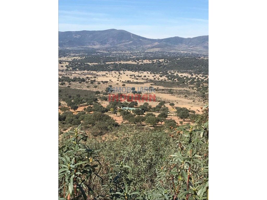 Casa o xalet en venda en Cabañas del Castillo