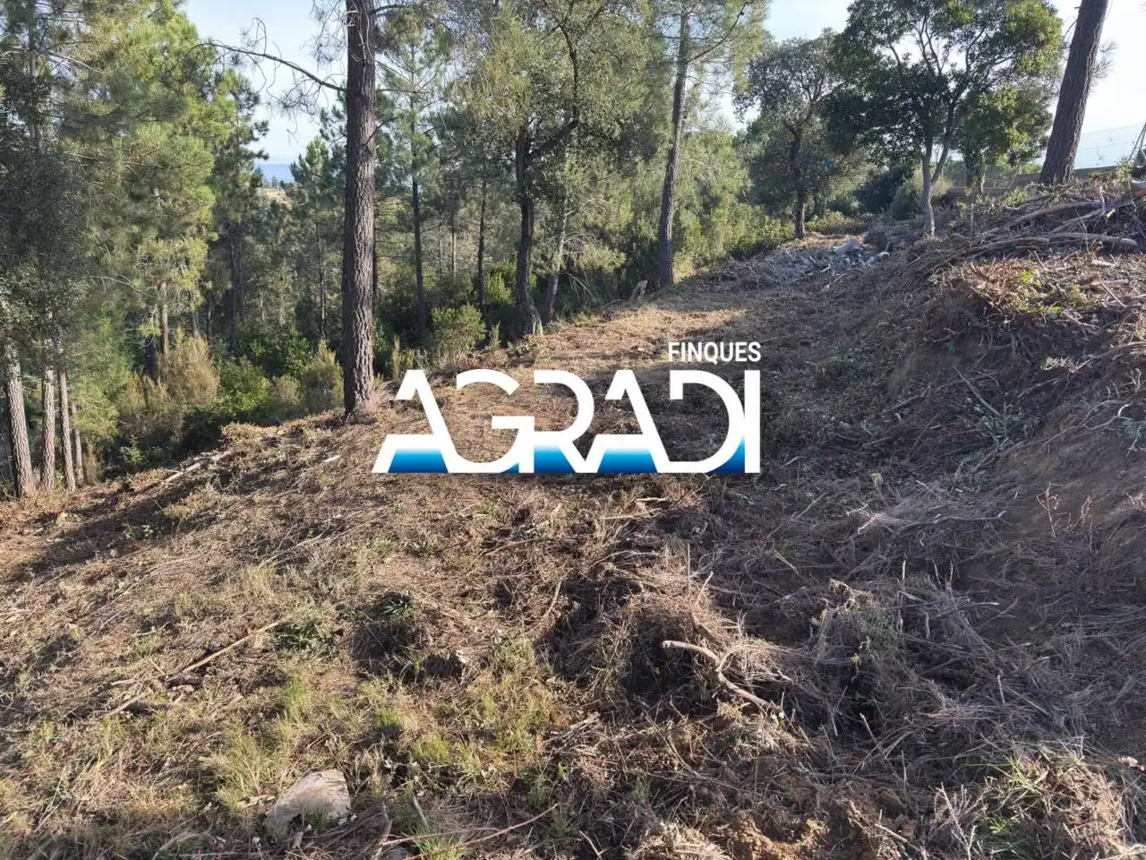 Terreny residencial en venda a Calle Perdiu 28, imagen 6