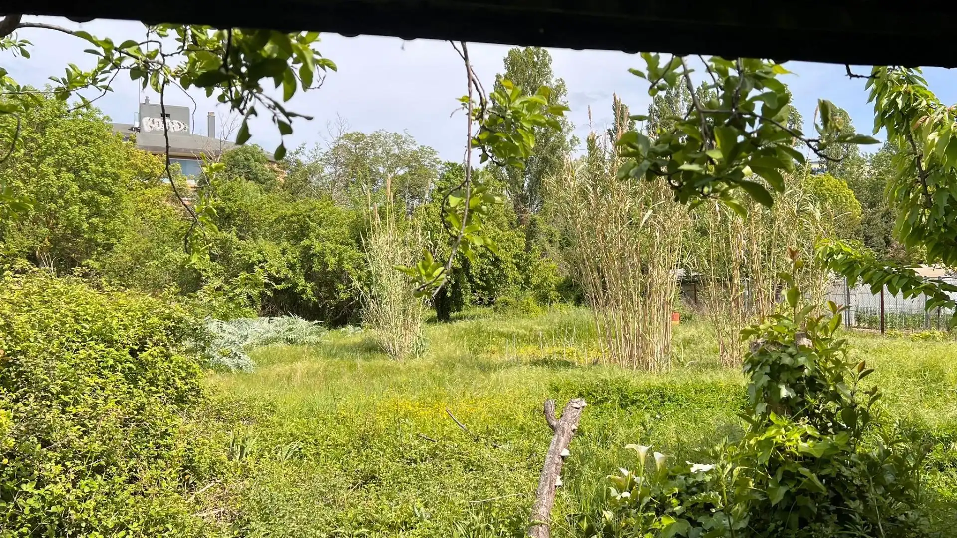 Rural land for sale in Calle ZAKOABIDE