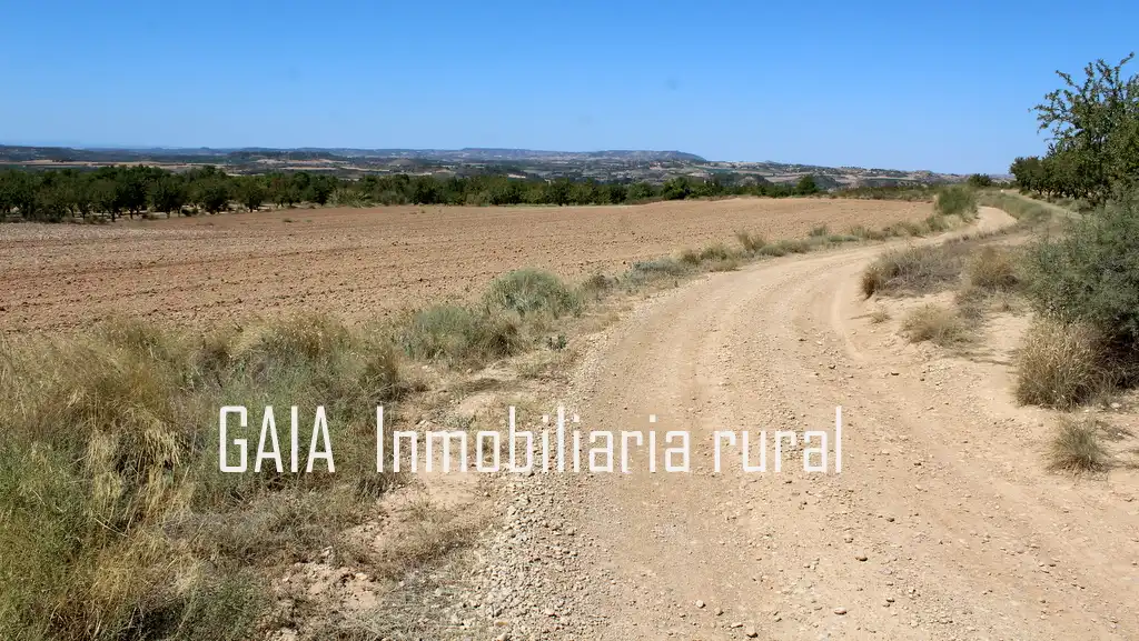 Casa rústica en venda a Maella, imagen 12