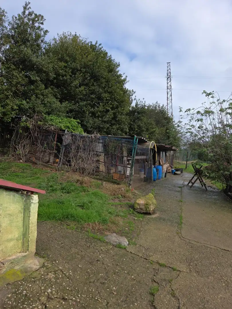 Vista exterior de Terreno en venta en Carreño