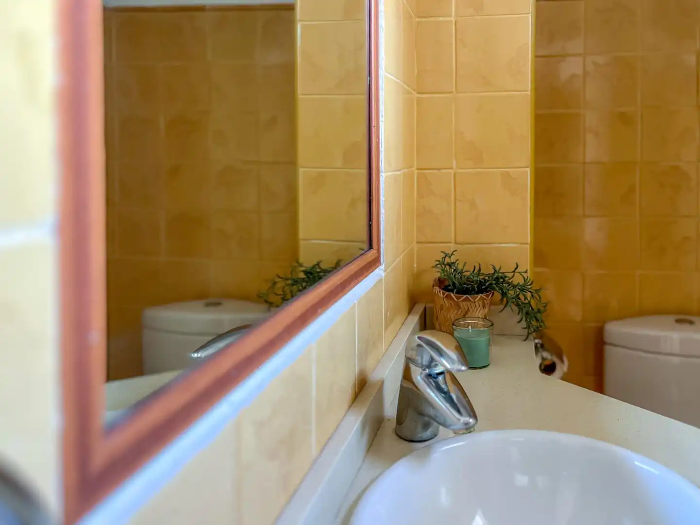 Bathroom of Detached homes for sale in Níjar  with Air Conditioner, Heating and Private garden