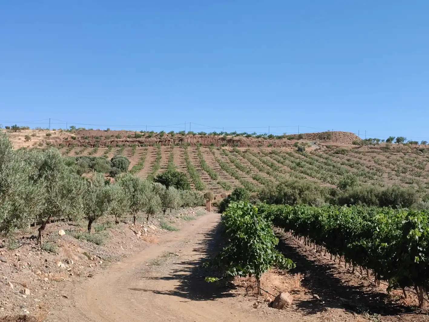 Exterior view of Land for sale in Huéneja