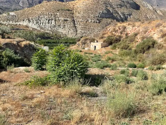 Terreno rustico in vendita a Calle Rio de Terque 2, imagen 10
