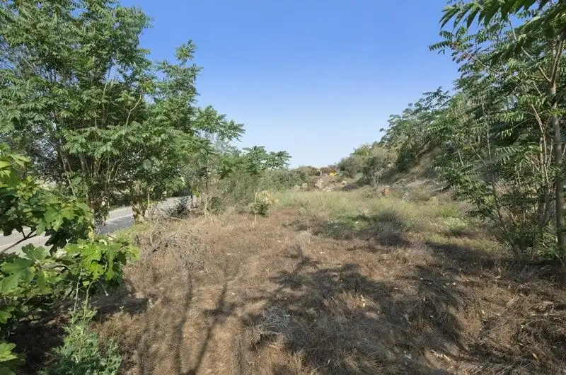 Rural land for sale in Avenida de Andalucía 108D