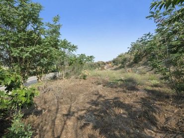 Terreno rustico in vendita a Avenida de Andalucía 108D