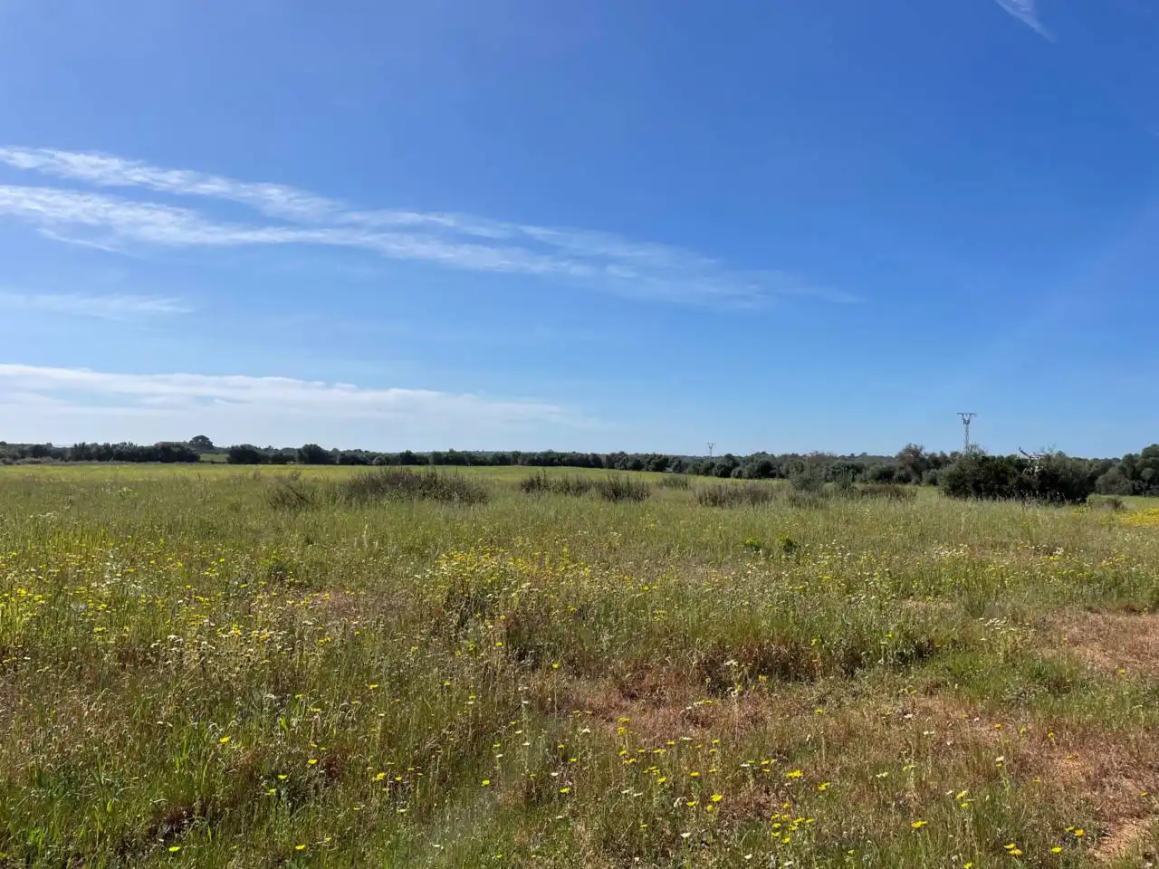 Wohnbaugrundstück zum Verkauf in Llucmajor pueblo, imagen 2