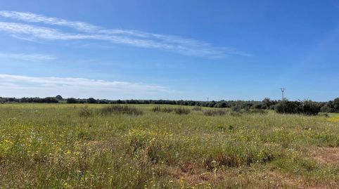 Finca rustica en venta en LLucmajor, imatge 2