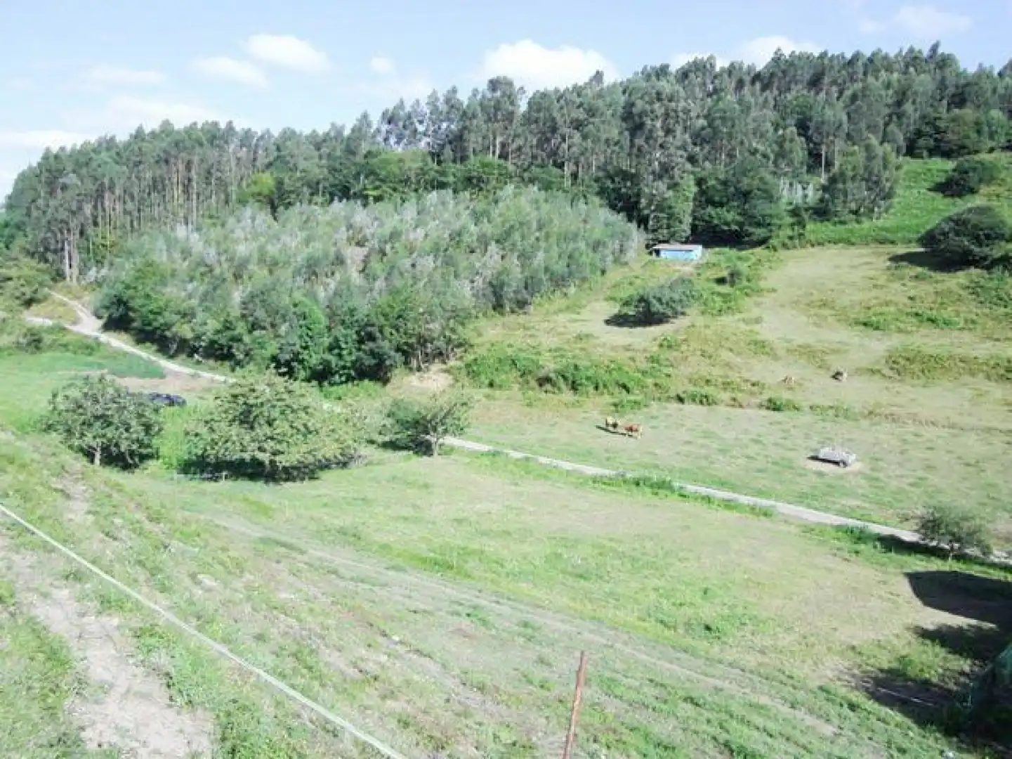 Casa o xalet en venda en Pravia