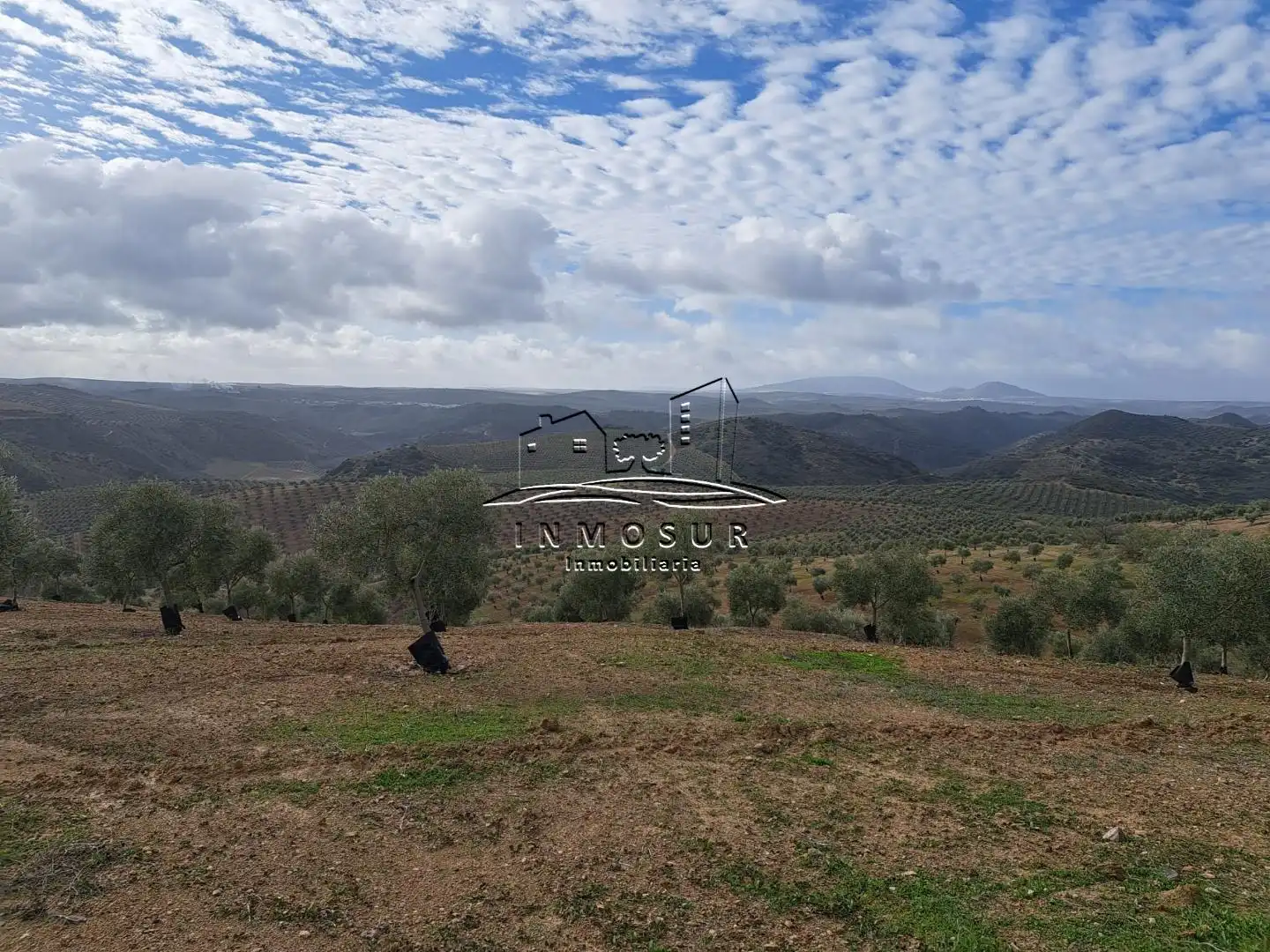 Terrenys i solars en venda a Benamejí, imagen 5