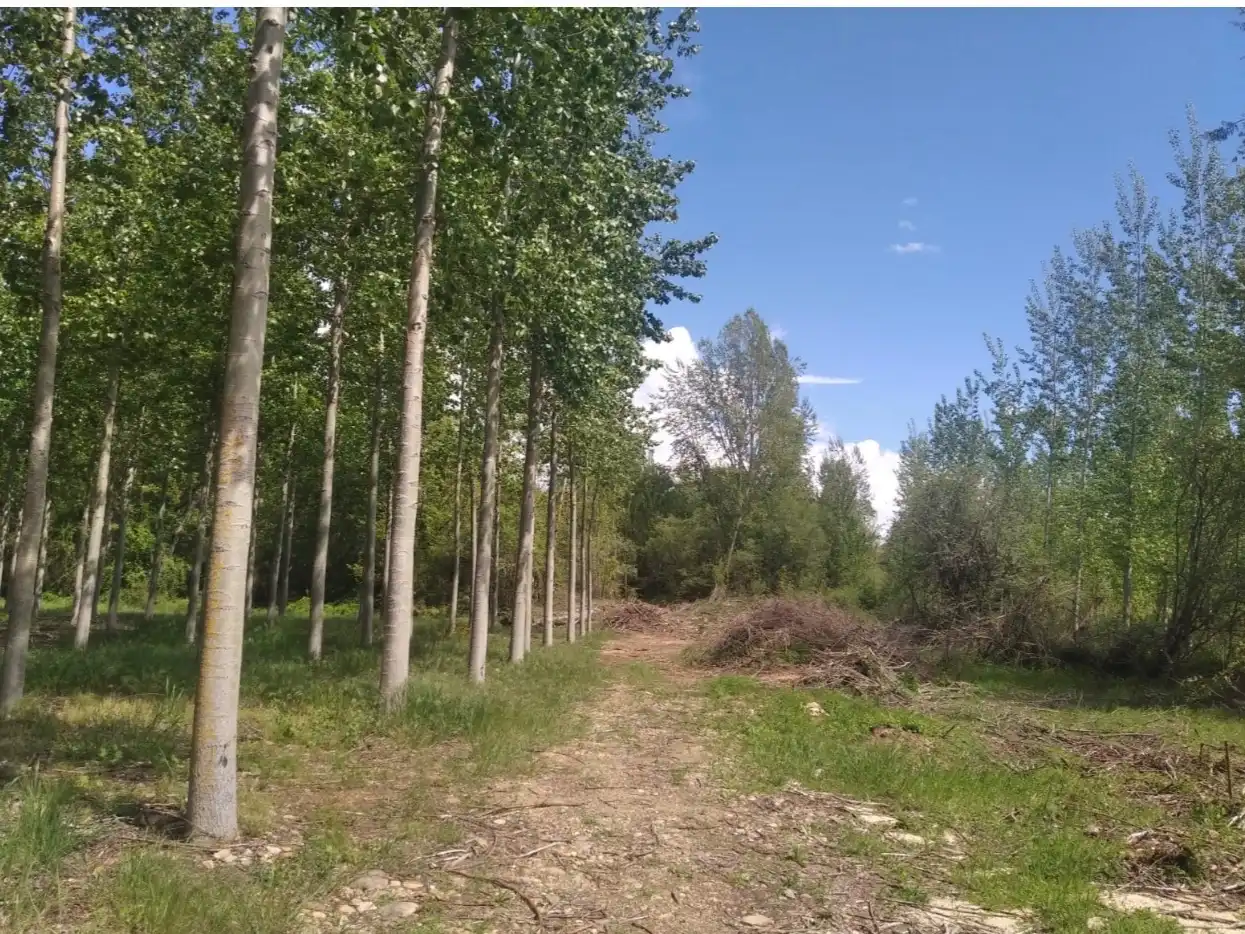 Terreno en venta en Carrizo