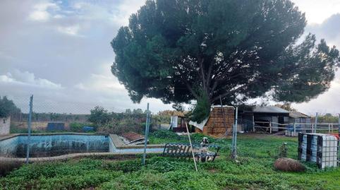 Foto 4 de Finca rústica en venta en Bollullos de la Mitación, Sevilla