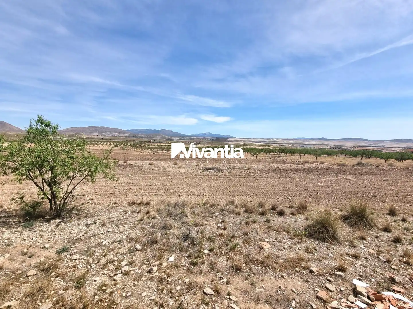 Finca rústica en venda en Lorca amb Jardí privat, Terrassa i Moblat