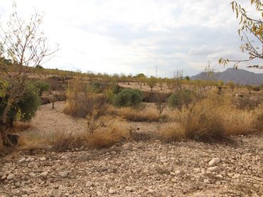 Terreno rustico in vendita a Hondón de los Frailes