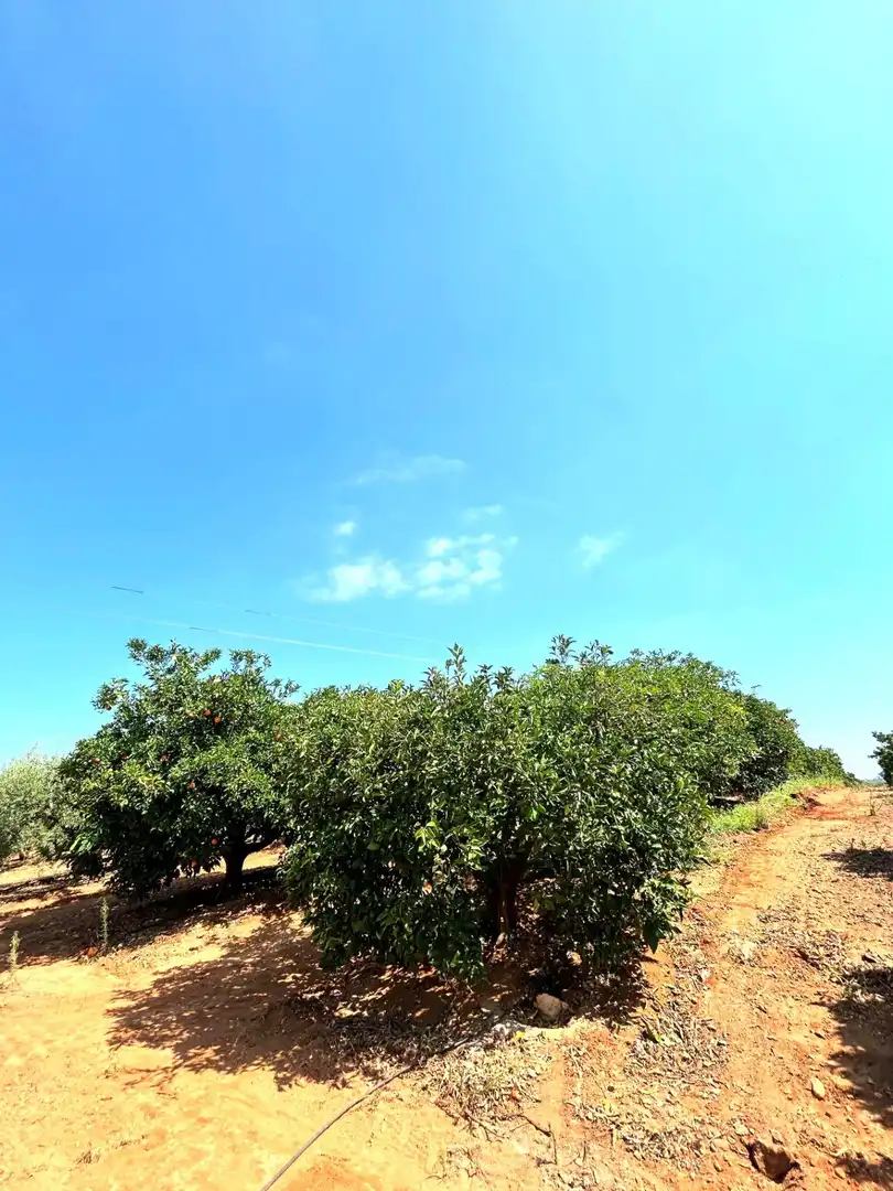 Finca rústica en venta en Cantillana con Aire acondicionado, Terraza y Piscina