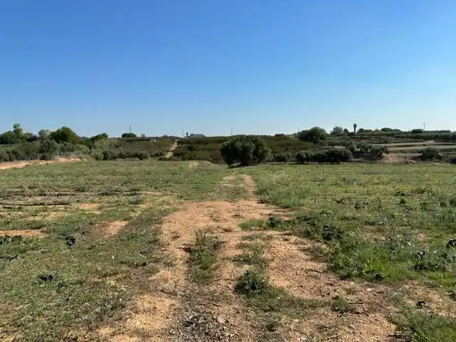 Terrenys i solars en venda a DEL REMEI, imagen 19