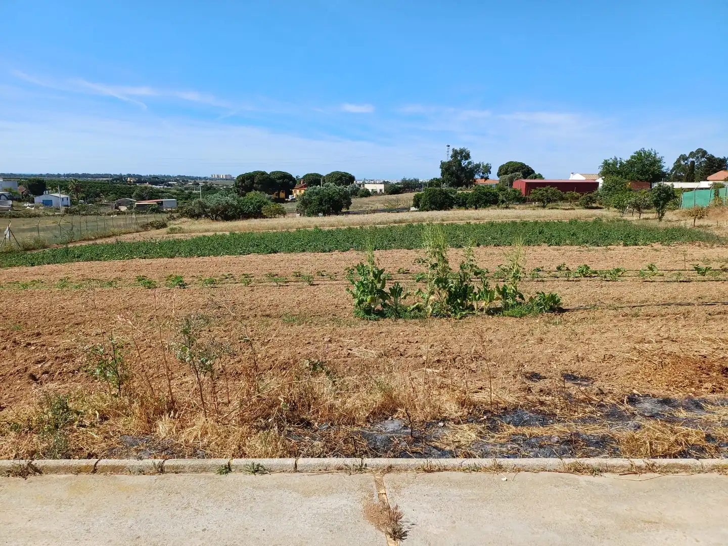 Finca rústica en venta en Isla Cristina con Jardín privado
