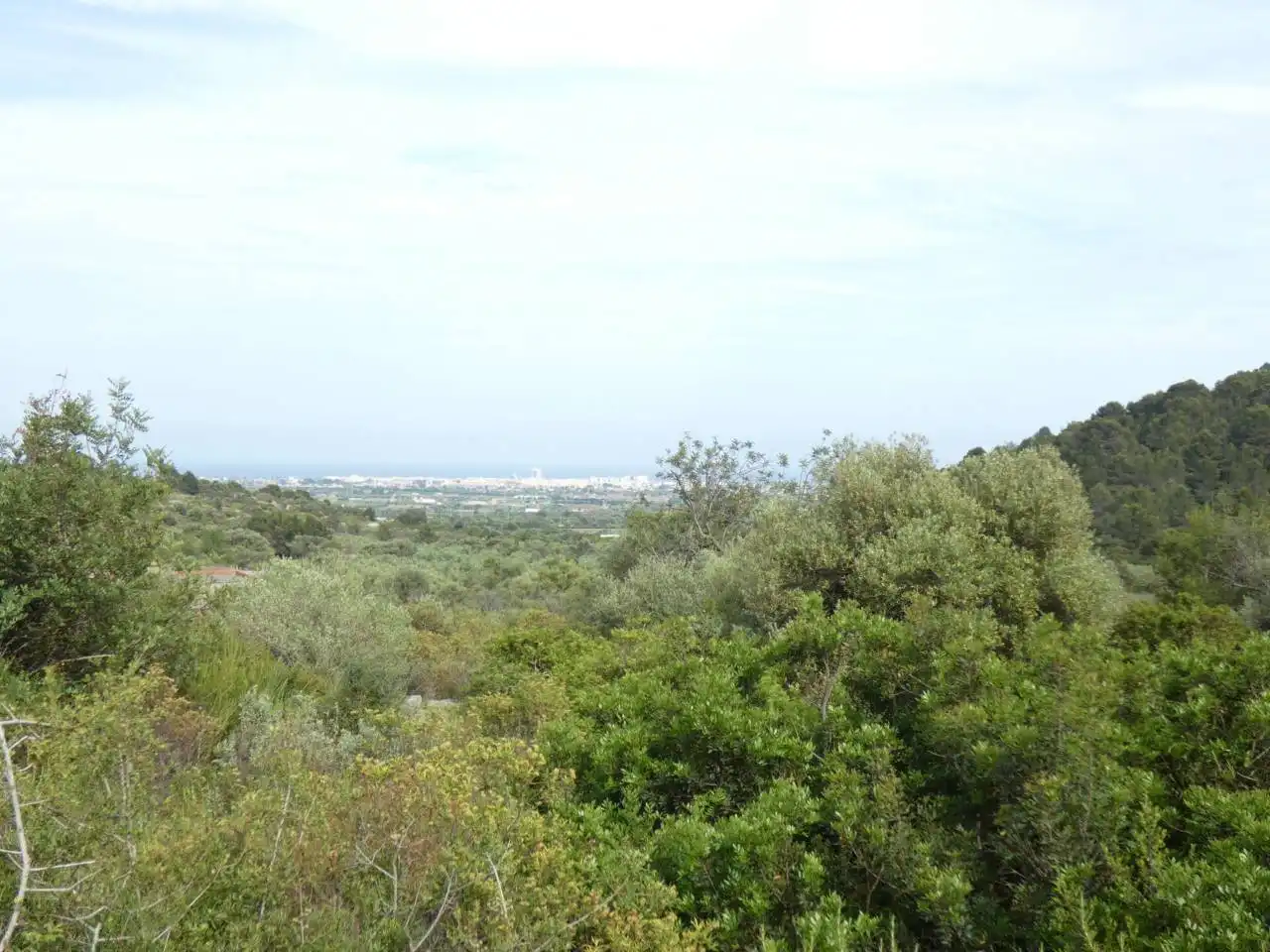 Rural land for sale in Pueblo, imagen 2