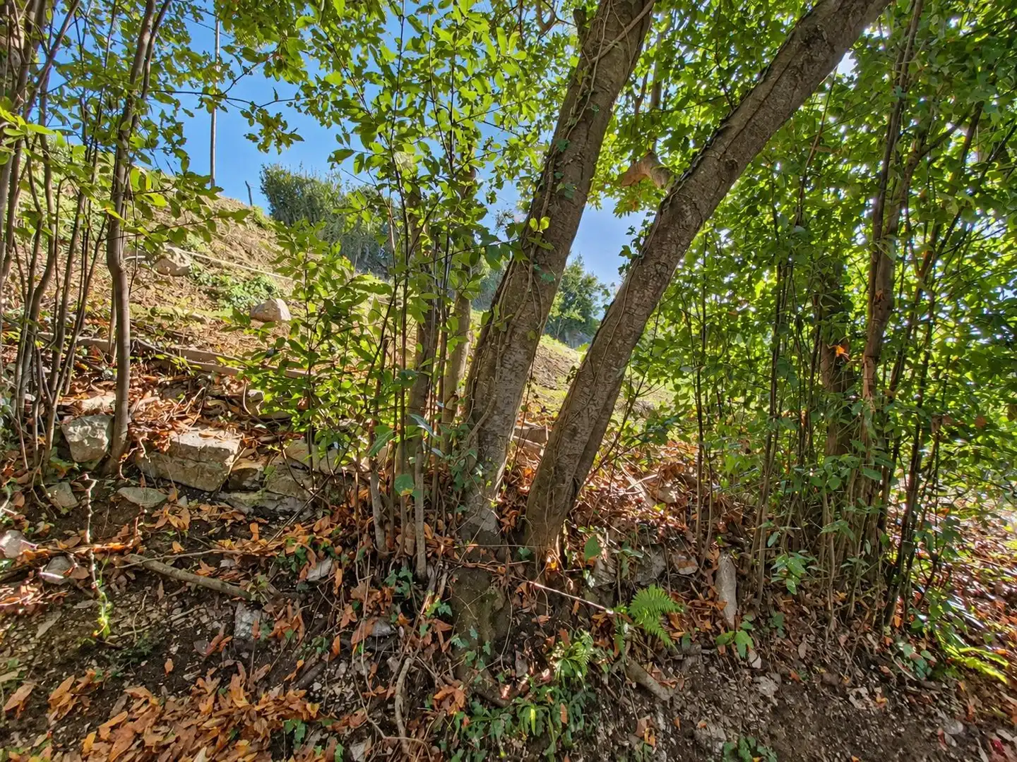 Terrain rustique à vendre à Camino de Caldones 2380, imagen 7
