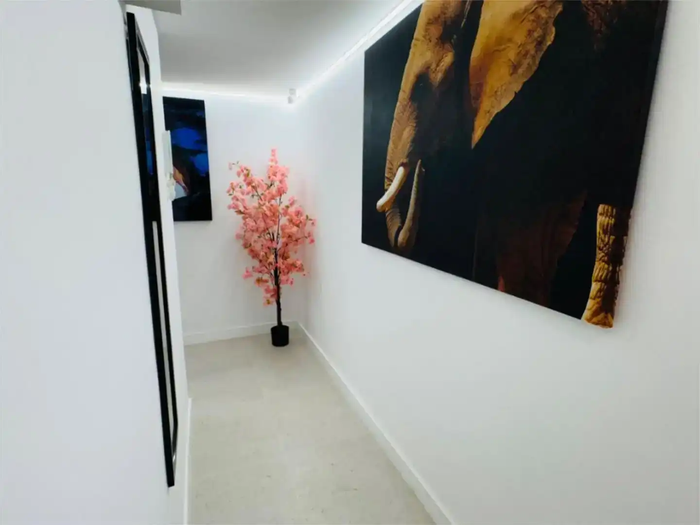 Wohnung zur Miete in Oviedo 