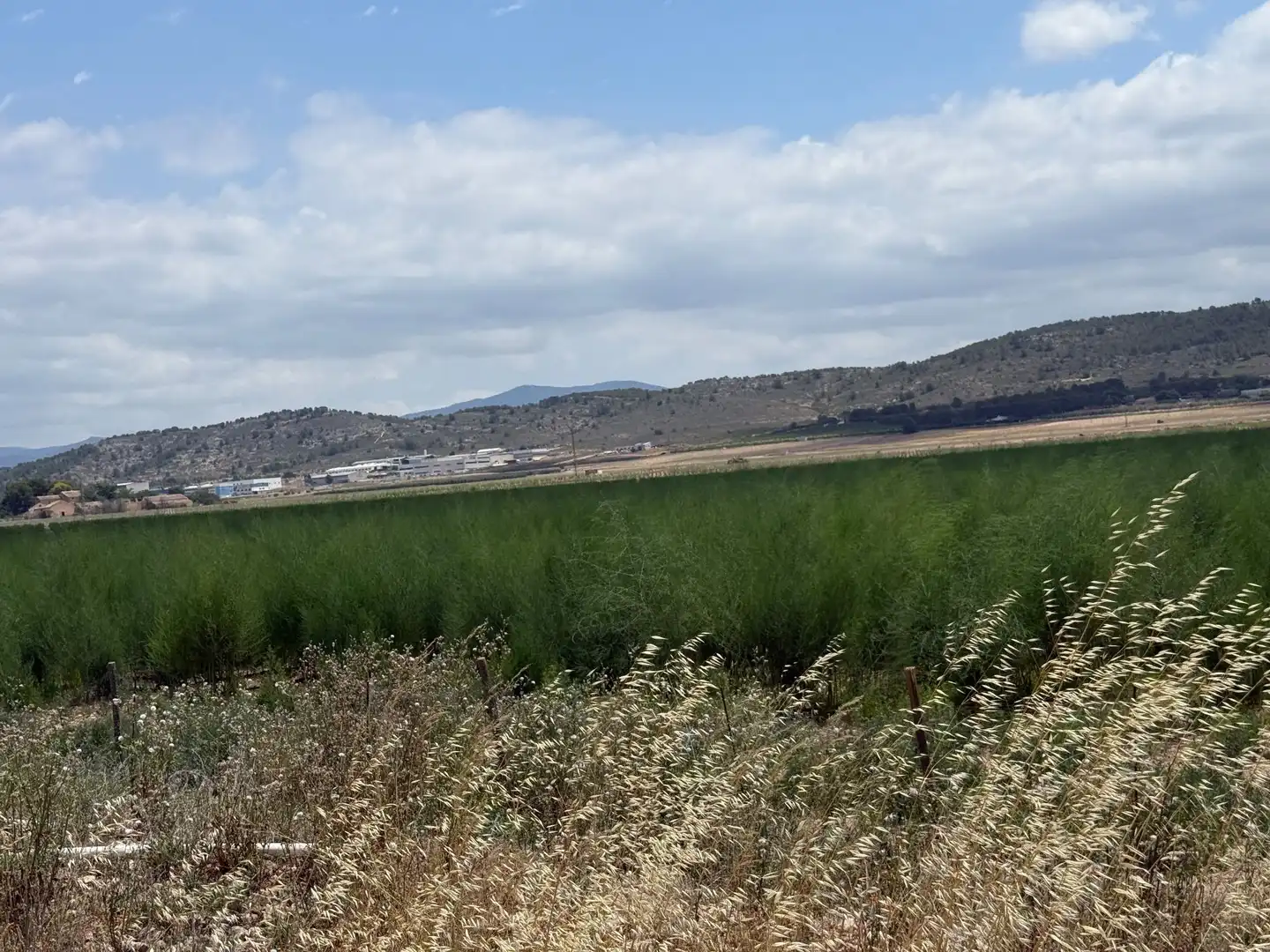 Residencial en venda en Villena