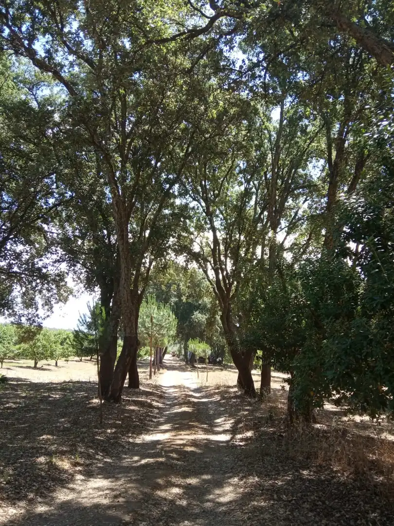 Terreni e lotti in vendita a La Cañada - Aldea Moret, imagen 12
