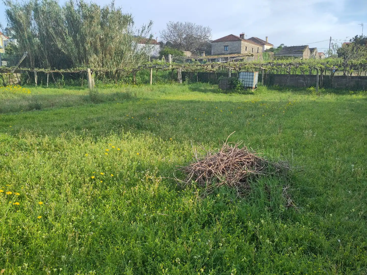 Terreno rustico in vendita a Fonte de Faxilde 13, imagen 4