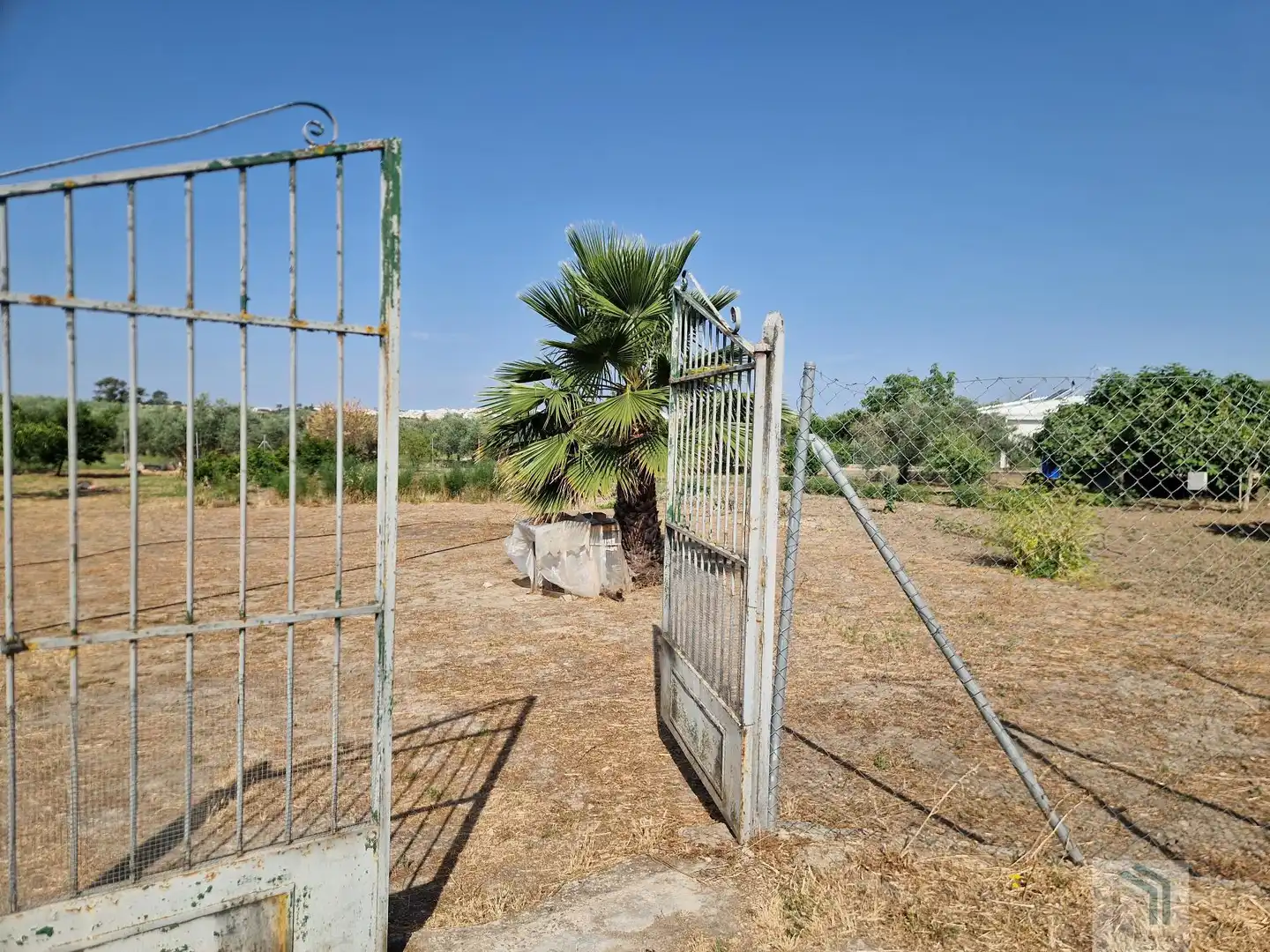 Terreni e lotti in vendita a Montilla