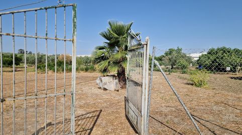 MontillaTerreno