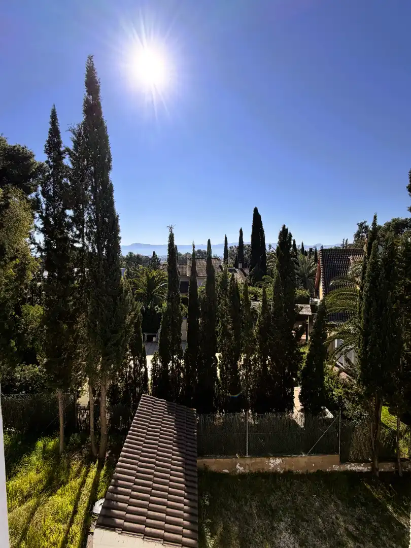 Exterior view of Houses for sale in Murcia  with Private garden