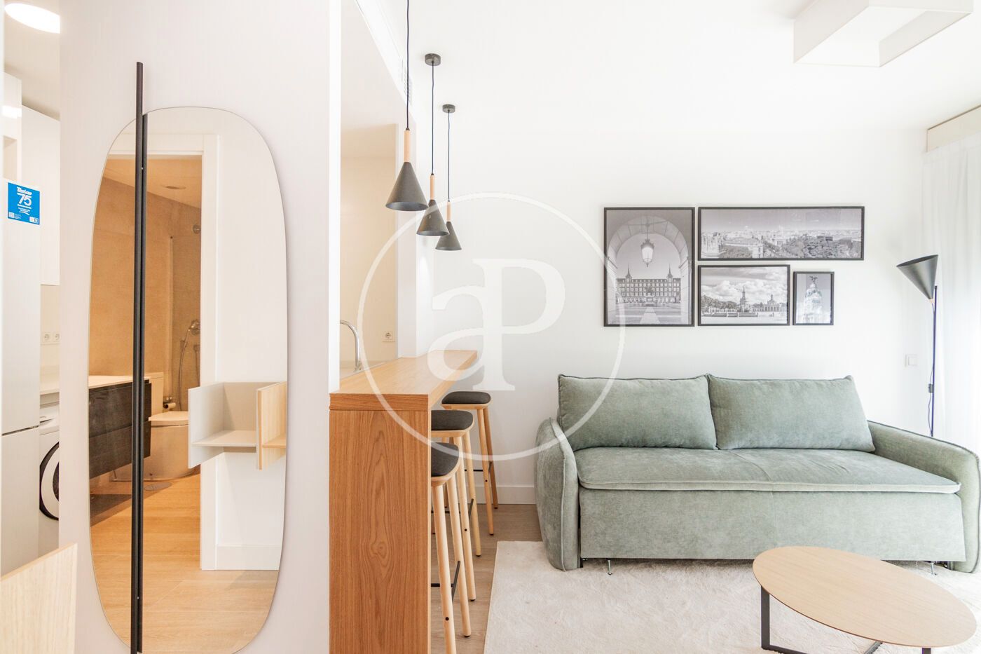 Living room of Flat to rent in  Madrid Capital  with Air Conditioner, Heating and Private garden