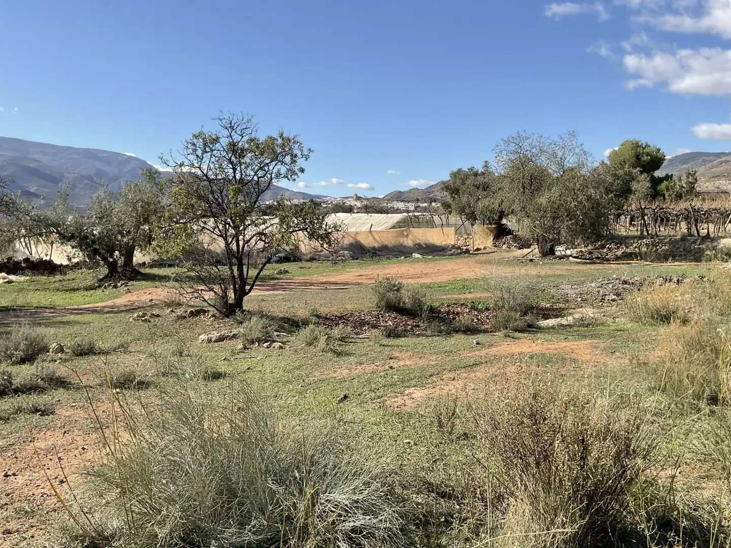 Land for sale in Padules