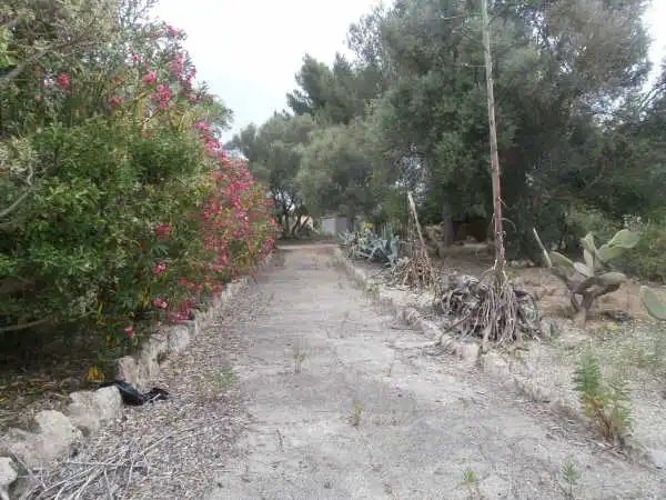 Autres à vendre à SON ALEGRE, imagen 21