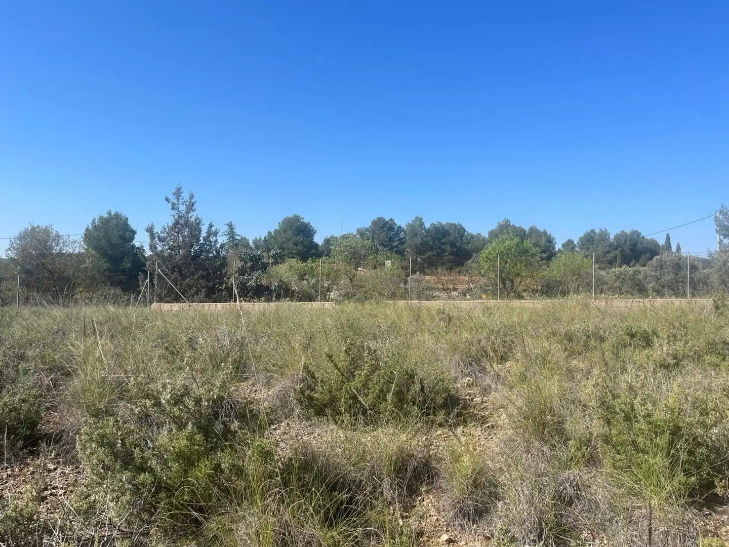 Terreni e lotti in vendita a Almansa, imagen 13