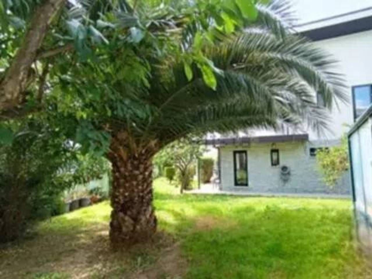 Jardí de Casa o xalet en venda en Berango amb Terrassa