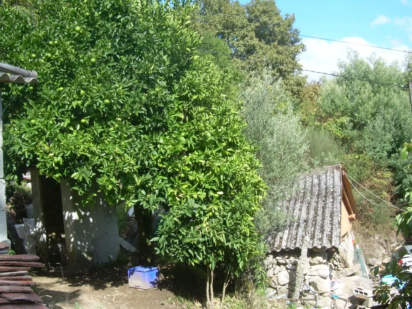 Haus zum Verkauf in Ventana, imagen 33