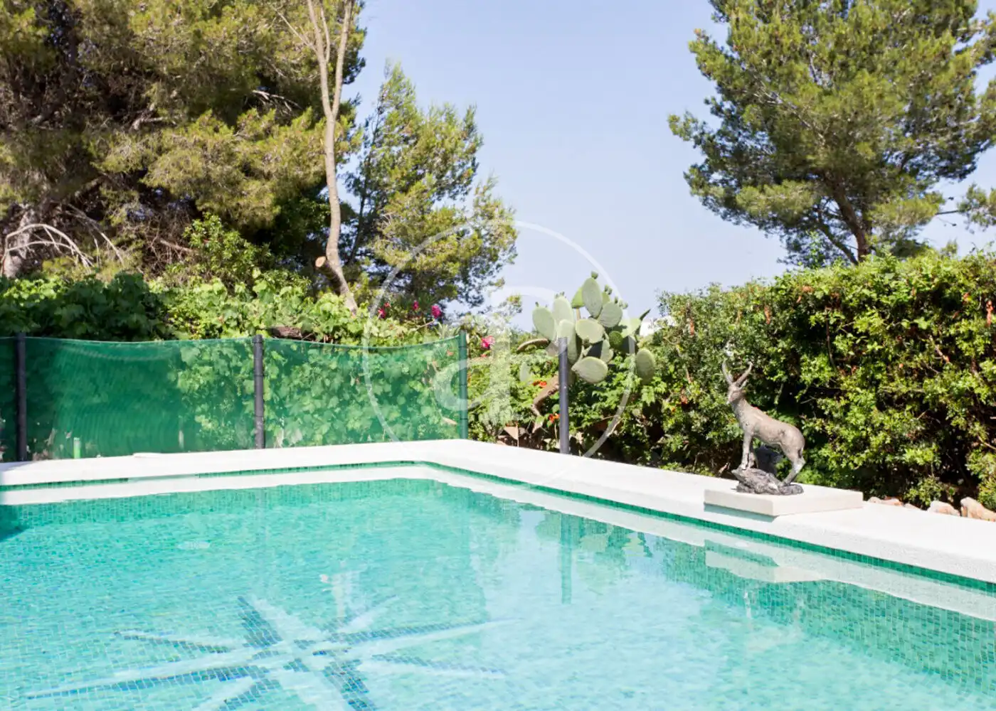Swimming pool of Houses for rent in Pollença  with Air Conditioner, Private garden and Terrace