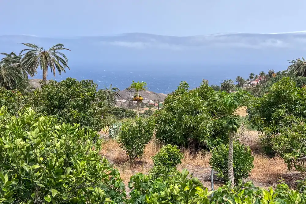 Finca rústica en venda en Vallehermoso amb Terrassa