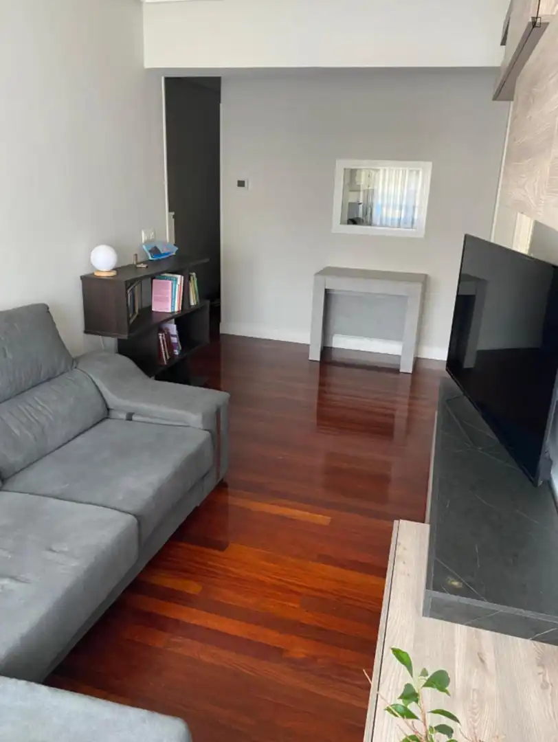 Living room of Apartments for share in Bilbao   with Furnished, Oven and Washing machine