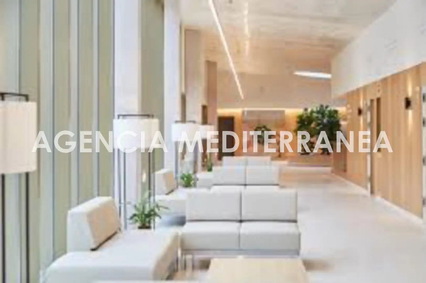 Business premises for sale in Urbanitzacions i Pedanies Nord, imagen 13