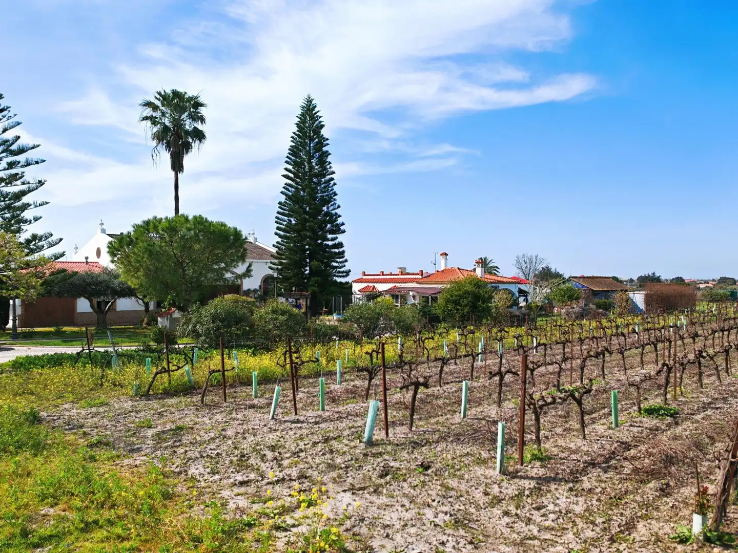 Xalet amb terrassa en venda a Ctra Sanlúcar - Cuatro Pinos, imagen 40