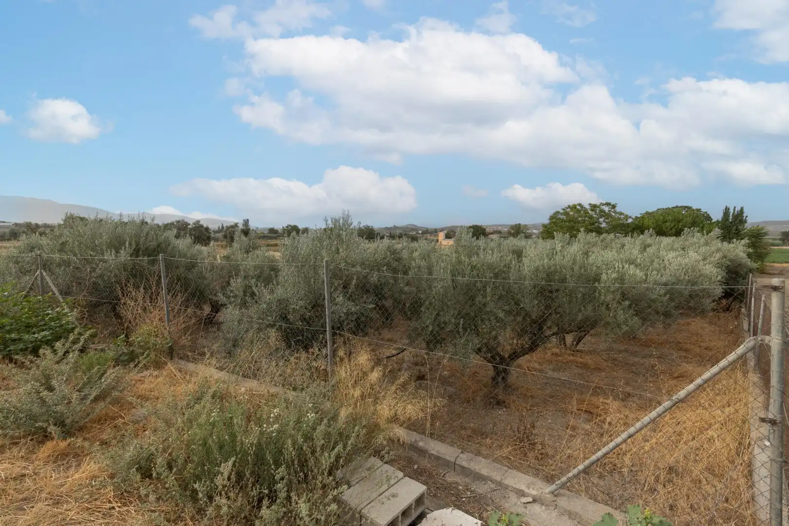 Country homes for sale in Polideportivo