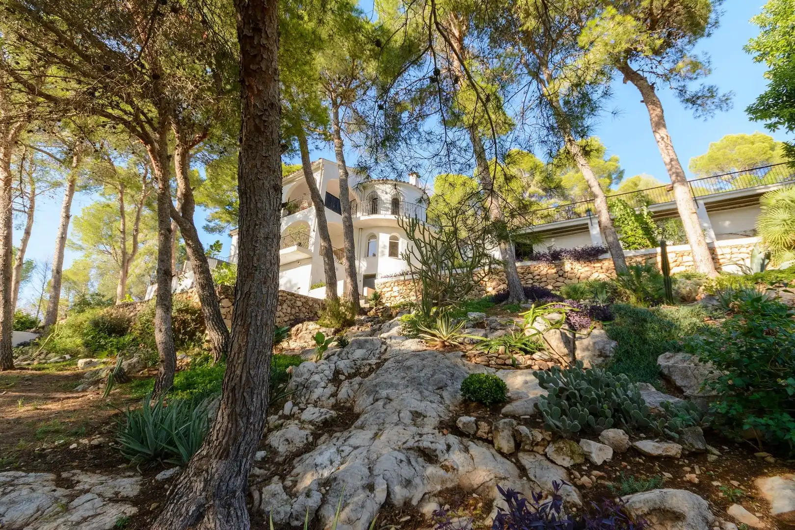 Jardín de Casa o chalet en venta en Gandia con Jardín privado, Terraza y Piscina