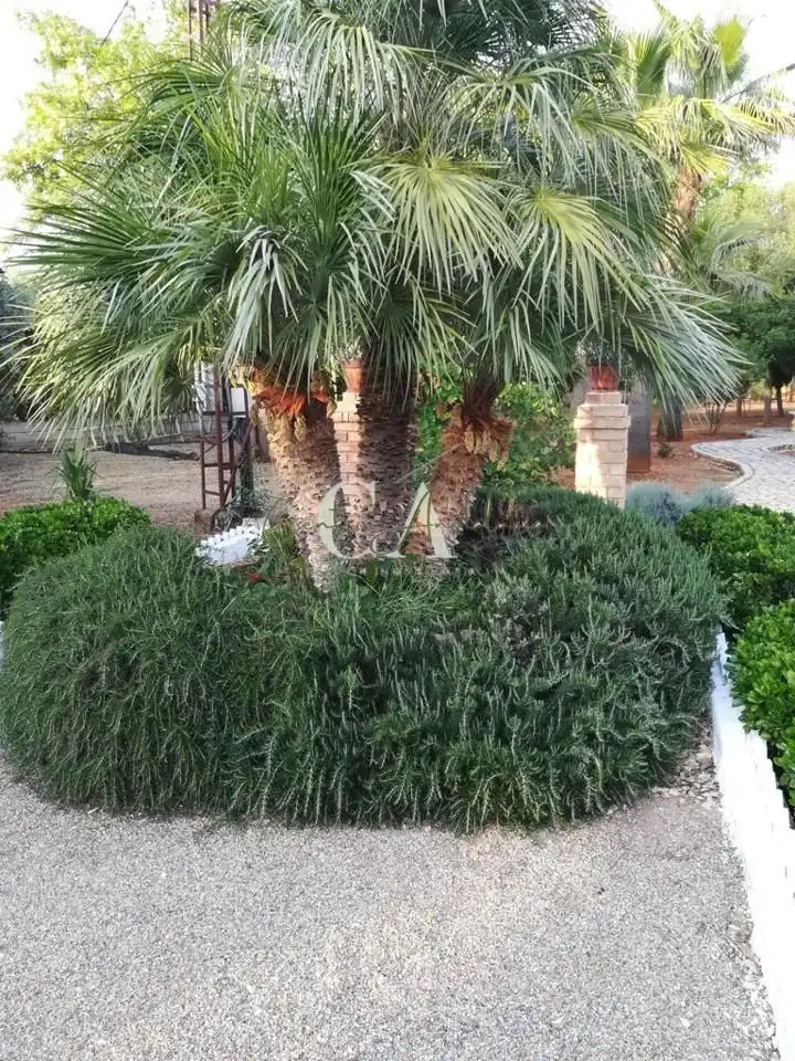 Casa amb jardí en venda a La Mina, imagen 21