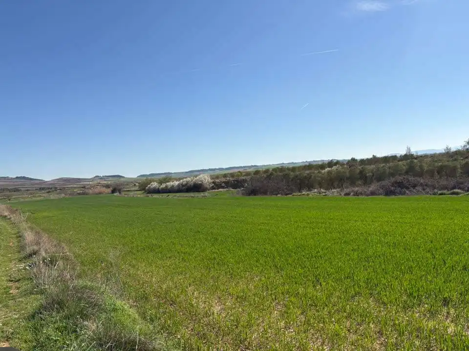 Rustikales Grundstück zum Verkauf in Villamediana de Iregua