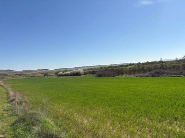 Terreno rustico in vendita a Villamediana de Iregua