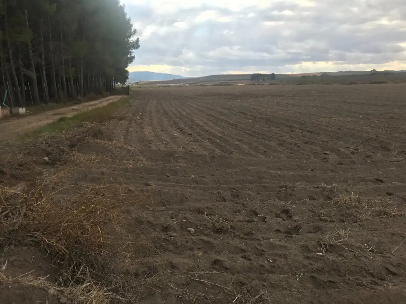 Grundstücke zum Verkauf in Villena