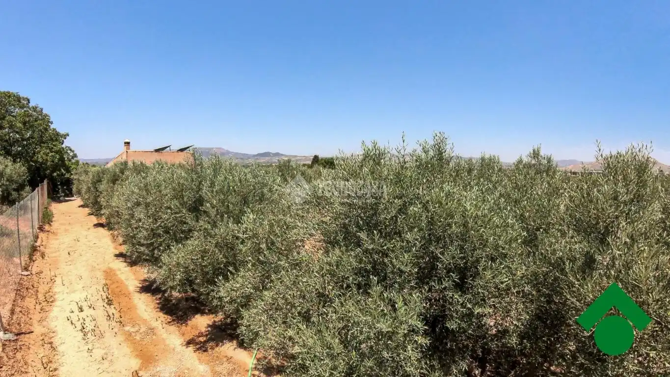 Rustikales Grundstück zum Verkauf in Santa Fe, imagen 29